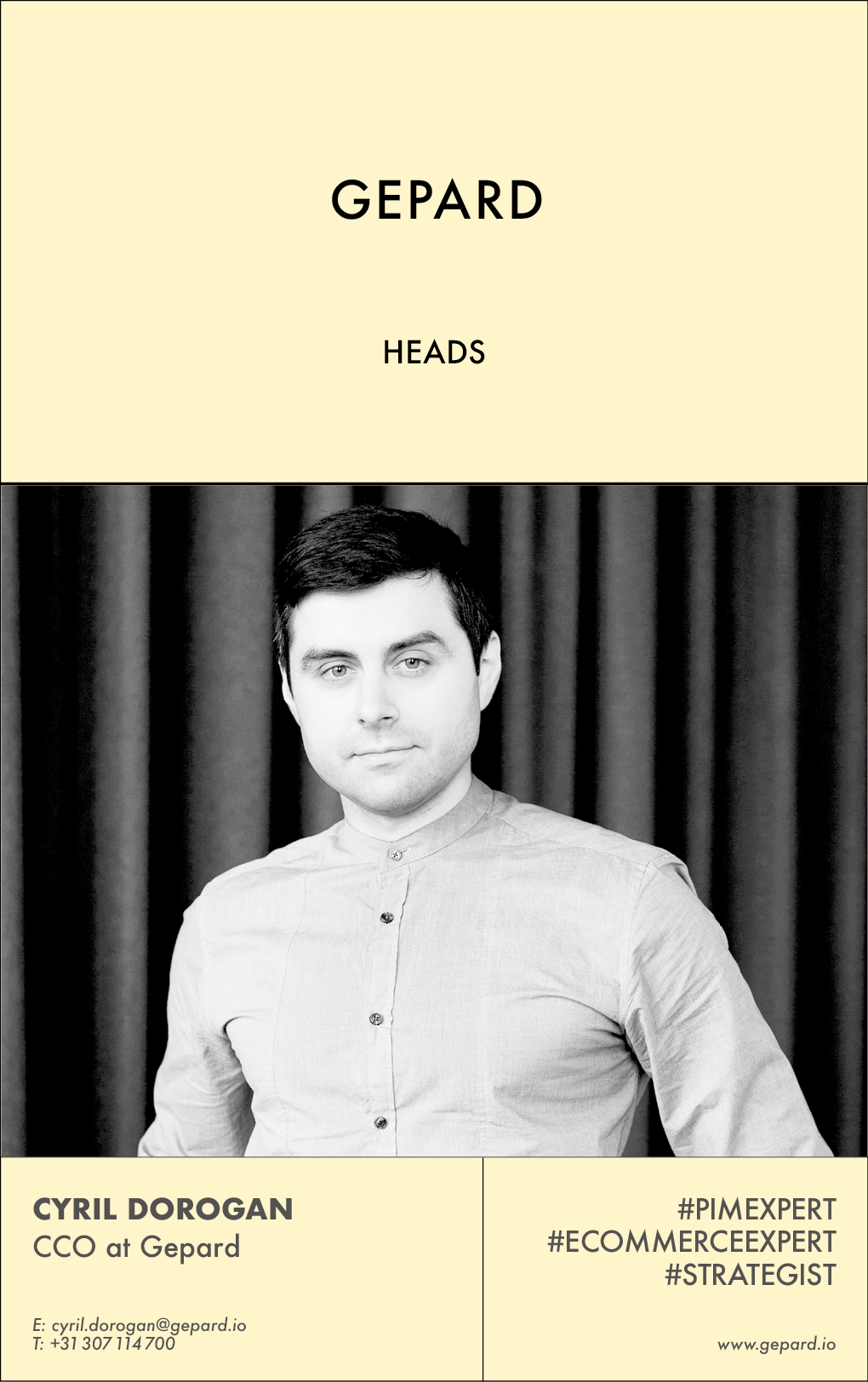 THE YELLOW PAGES | GEPARD